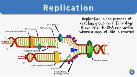 replication watch science|examples of replication studies.